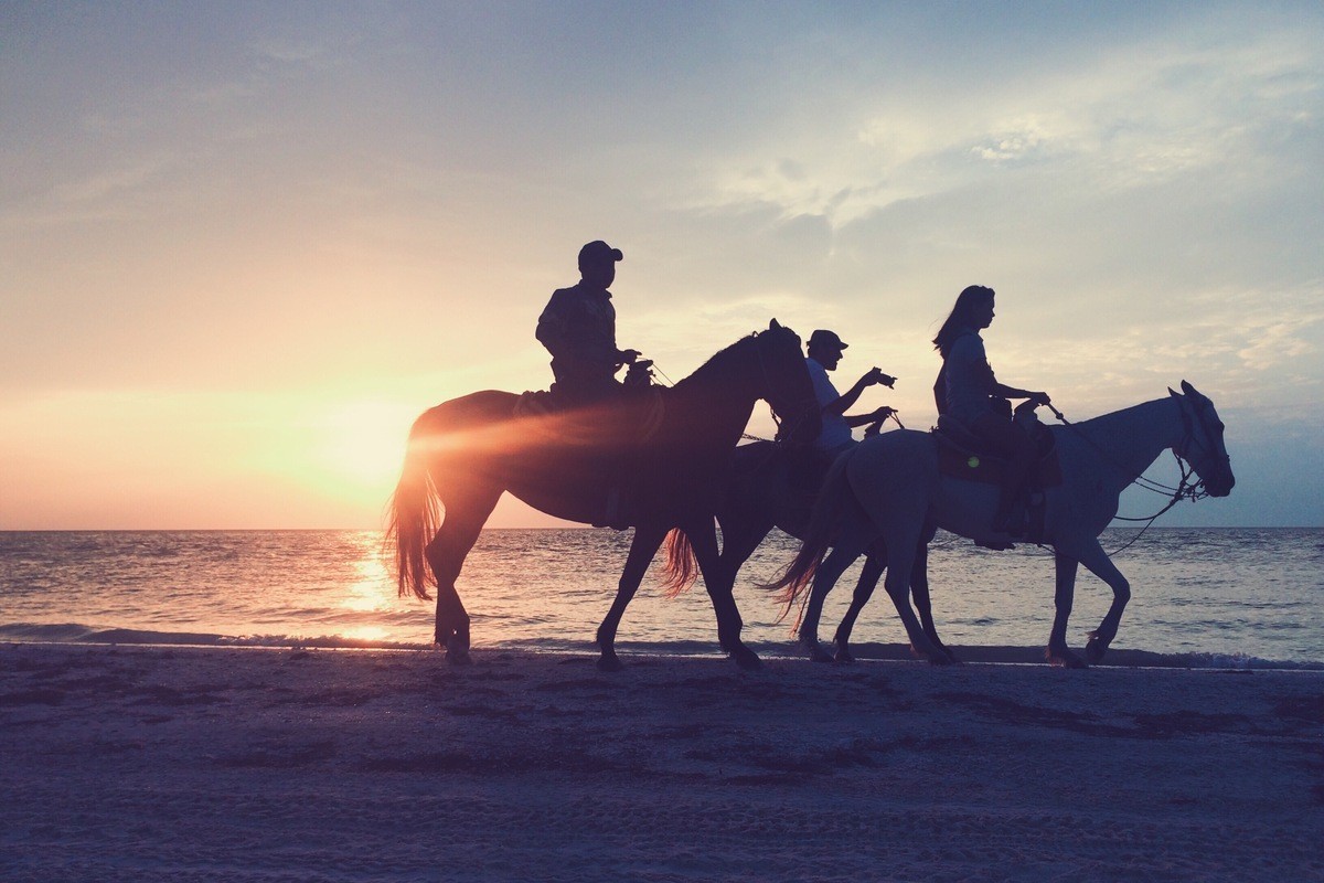 horse-ride-on-the-beach-2022-11-16-19-51-40-utc-1-5433.jpg