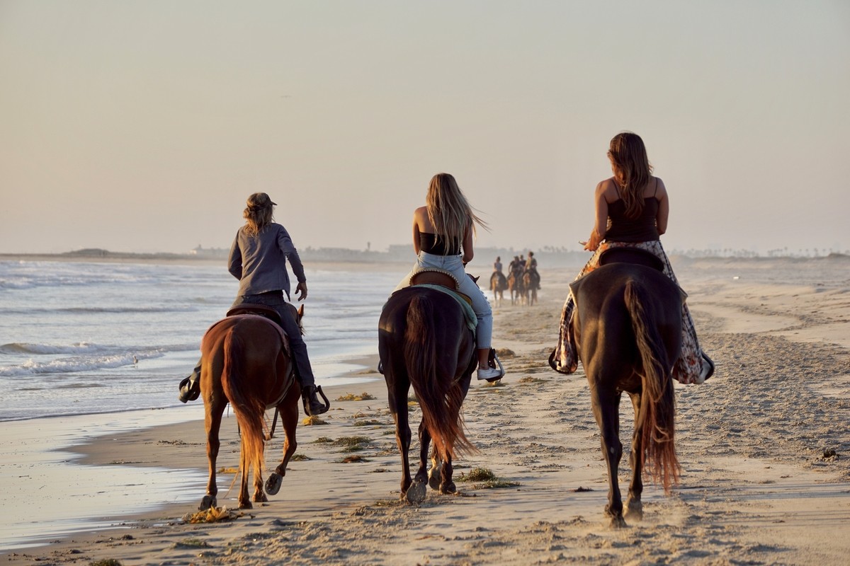 horseback-riding-on-the-beach-2022-11-10-09-40-30-utc-3126.jpg