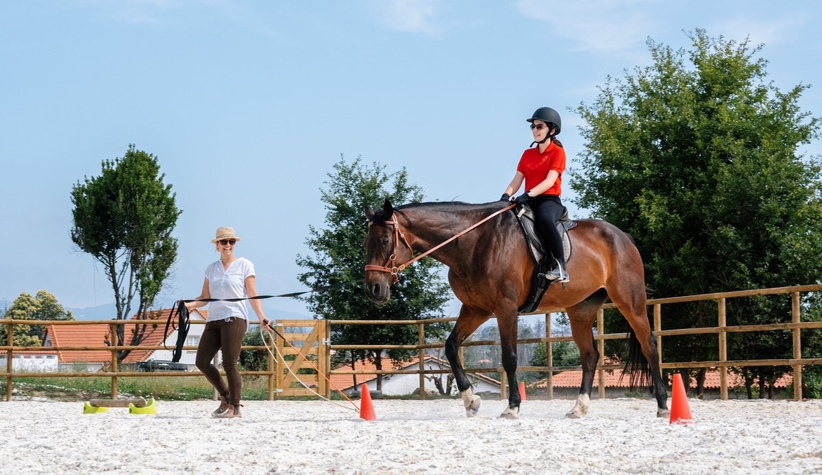 riding-lessons-can-be-8047.jpg