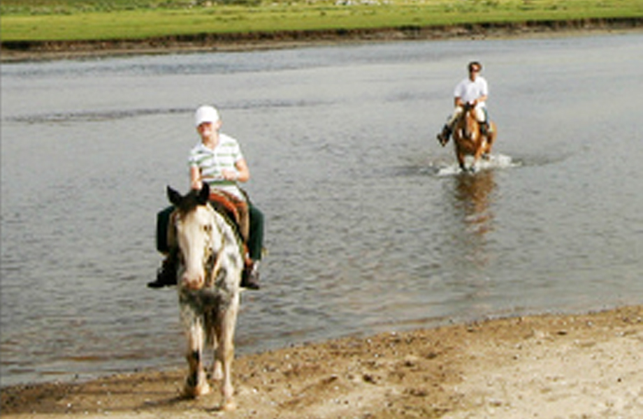 swimming-with-horses-9092.jpg
