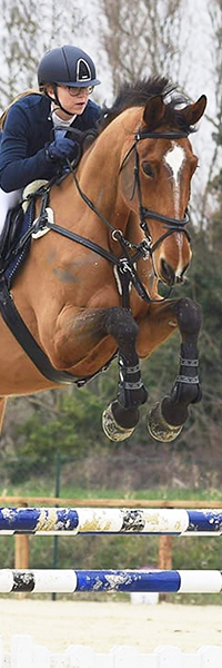 equestrian-training-facilities-box-1-8906.jpg