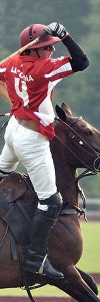 equestrian-training-facilities-box-3-691.jpg