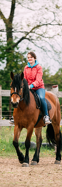 leisure-riding-equestrian-facilities-box-2-5882.jpg