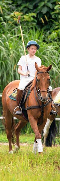 leisure-riding-equestrian-facilities-box-3-2695.jpg